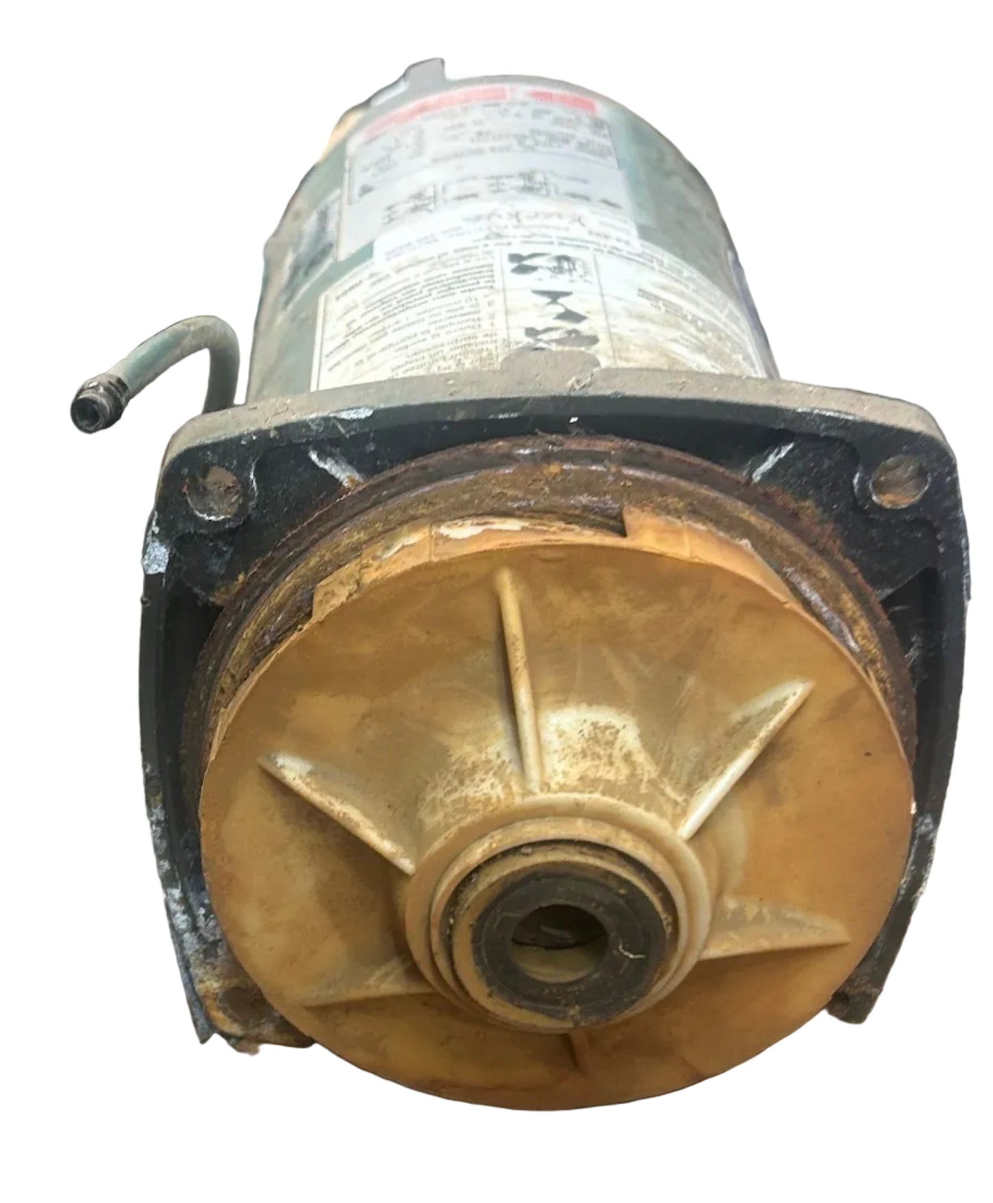 pump motor